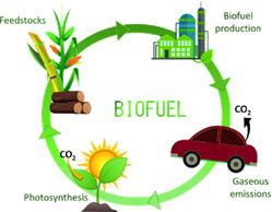 types-of-ethanol